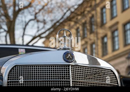 Mercedes-Benz W111 220 S emblème avant d'une voiture noire. Voiture allemande classique avec une calandre chromée brillante et une mascotte radiateur. Banque D'Images