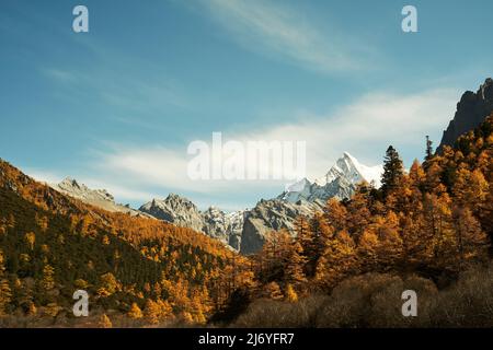 aire de répartition des montagnes et feuillage d'automne dans le parc national de yading, comté de daocheng, province du sichuan, chine Banque D'Images