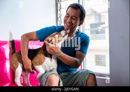 Un homme qui pète son chien beagle, un concept d'amour acceptant les animaux Banque D'Images