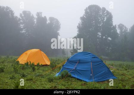 Camp de tentes touristiques dans une forêt de montagne brumeuse. Altaï, Sibérie. Banque D'Images