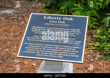 Hilton Head Island, SC, États-Unis - 9 janvier 2020 : The Liberty Oak Banque D'Images