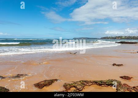 Long Reef sur la côte est de Sydney, région des plages du nord, Nouvelle-Galles du Sud, Australie Banque D'Images