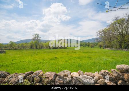 Paysage de printemps. Pinilla de Buitrago, province de Madrid, Espagne. Banque D'Images