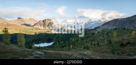 Belle vallée alpine avec forêt, lac, montagnes avant le coucher du soleil, panorama, Mt Assiniboine, Canada Banque D'Images