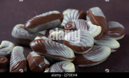 Bonbons au chocolat traditionnels aux coquillages belges. Bonbons au chocolat au lait belge en forme de coquillages avec palourdes, hippocampes Banque D'Images