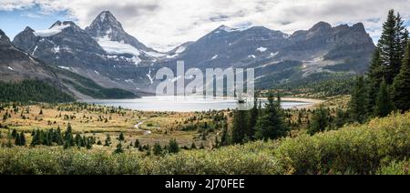 Magnifique panorama alpin avec chaîne de montagnes, forêt et lac, Mt Assiniboine Prov. Parc, Canada Banque D'Images