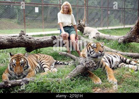 SUSAN CANNON À IN-SYNC EXOTIC. SUSAN AVEC DES BÉNÉVOLES A SAUVÉ DES DIZAINES DE GRANDS CHATS DE PROPRIÉTAIRES PRIVÉS DANS TOUT L'ÉTAT . ON ESTIME QU'IL Y A AU MOINS DEUX FOIS PLUS DE TIGRES CAPTIFS AUX ÉTATS-UNIS (LA MAJORITÉ DES PRISONNIERS ÉLEVÉS AUX ÉTATS-UNIS) QUE L'ENSEMBLE DE LA POPULATION SAUVAGE DANS LE MONDE. PHOTO : GARY ROBERTS Banque D'Images