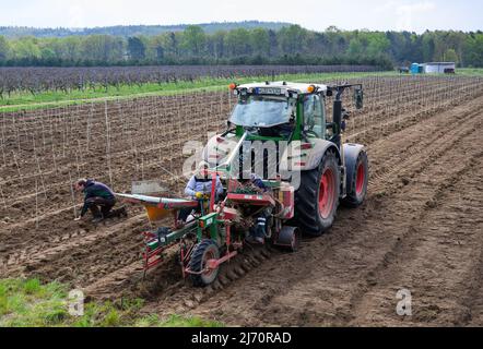 05 mai 2022, Saxe, Weinböhla: Une machine de plantation est utilisée à la cave de vinification de l'État Saxon Schloss Wackerbarth pour placer des greffes dans le sol pour la nouvelle plantation de 8 000 vignes de Pinotine. Ces vignes seront utilisées pour tester comment la variété de vin rouge résistant aux champignons se développe dans le climat saxon. Photo: Robert Michael/dpa/ZB Banque D'Images