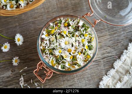 Pot rempli de fleurs de Marguerite fraîche et commune récoltées au printemps et de sucre - préparation de sirop maison, vue de dessus Banque D'Images