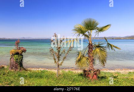 Vue panoramique sur le lac méditerranéen de Constance depuis l'île de Reichenau au printemps Banque D'Images