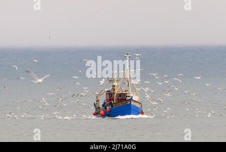 Un chalutier retourne au quai de pêche de North Shields avec ses prises de la mer du Nord. Date de la photo: Jeudi 5 mai 2022. Banque D'Images