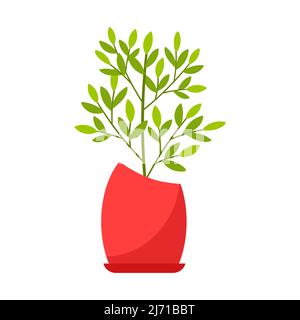 Plante intérieure, ficus dans un pot rouge. Usine à feuilles caduques. Illustration vectorielle de style dessin animé plat, isolée sur fond blanc Illustration de Vecteur