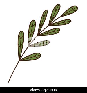 Branche abstraite avec feuilles vertes. Une lame d'herbe. Botanique, élément de conception de plantes avec contour. Doodle, dessiné à la main. Conception plate. Illustration du vecteur de couleur Illustration de Vecteur