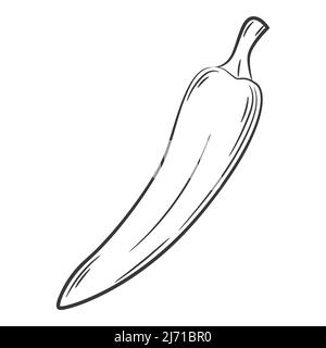 Piment. Un légume de style linéaire, dessiné à la main. Ingrédient alimentaire, élément design.Lineart. Illustration vectorielle noir et blanc. Isolé sur Illustration de Vecteur
