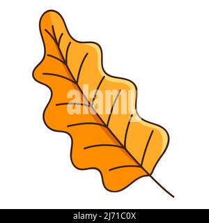 Chêne jaune feuille d'automne. Botanique, élément de conception de plantes avec contour. Heure d'automne. Doodle, dessiné à la main. Conception plate. Illustration à vecteur de couleur. Isoler Illustration de Vecteur