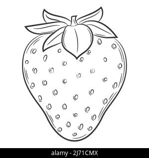 Fruit de fraise dans un style linéaire. Élément décoratif vectoriel noir et blanc, dessiné à la main.isolé sur fond blanc Illustration de Vecteur