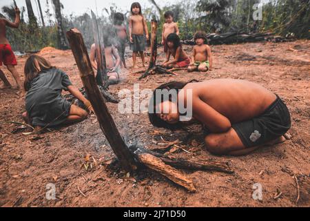 Des enfants autochtones d'une tribu amazonienne brésilienne apprennent à faire le feu. Baixo Amazonas, Etat de Pará, Amazone, Brésil. 2010. Banque D'Images