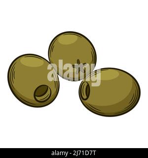 Olives dénoyautées. Un légume de style linéaire, dessiné à la main. Ingrédient alimentaire, élément de conception.Illustration vectorielle de couleur avec contour. Isolé sur un coup Illustration de Vecteur