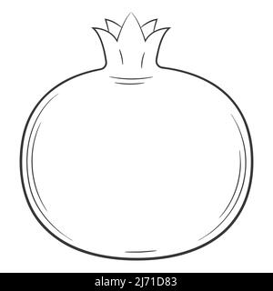 Grenade. Fruit de style linéaire. Élément décoratif vectoriel noir et blanc, dessiné à la main.isolé sur fond blanc Illustration de Vecteur