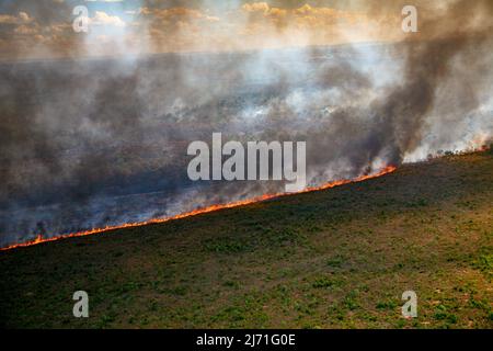 Flammes et rideau de fumée d'un feu de forêt dans l'Amazonie brésilienne. Banque D'Images