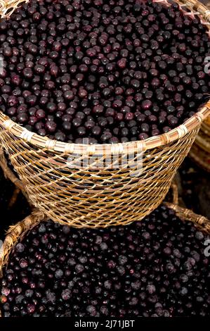 Paniers Acai exposés au marché Ver-o-Peso de Belém, Pará, Amazon, Brésil Banque D'Images