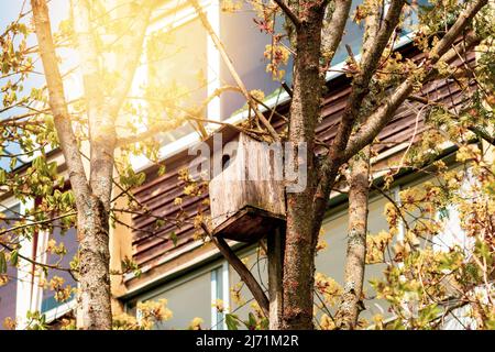 Birdhouse est suspendue sur des branches d'arbres à l'extérieur du bâtiment résidentiel au printemps Banque D'Images