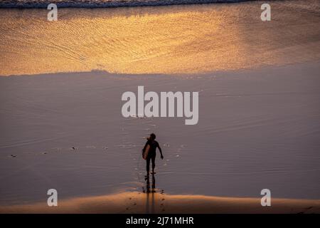 Surfer avec surf marche sur la plage, Sagres, Portugal, côte de l'Algarve, au coucher du soleil, vagues Banque D'Images