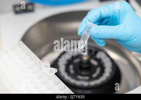 Une scientifique féminine en gants de protection prélève des échantillons de la centrifugeuse et les dépose dans le rack. Médecine et concept de recherche. Banque D'Images