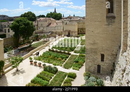 France. Vaucluse (84). Avignon. Palais des Papes. Les jardins suspendus, récemment rénovés, sont ouverts au public. Banque D'Images