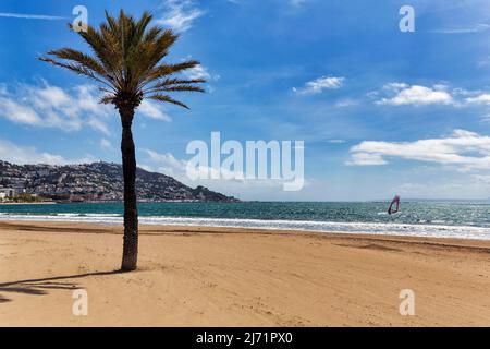 Palme am Strand, Blick auf einen Surfer und das Meer, Bucht von Roses, Costa Brava, Katalonien, Espagnol Banque D'Images