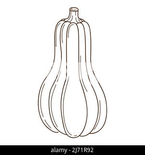 Citrouille brune-verte abstraite. Un symbole de l'automne, la récolte. Elément de conception avec contour. Doodle, fait main. Légume, plante de melon. Vecteur noir et blanc Illustration de Vecteur