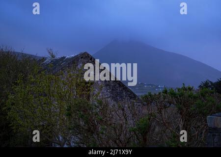 Brume et floraison lors d'une soirée de printemps au-dessus de Slievemore Mountain, île d'Achill, comté de Mayo, Irlande Banque D'Images