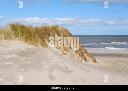 Uebergang zum Strand, Duene, Juist, Toewerland, Ostfriesische Insel, Ostfriesland, Nordsee, Niedersachsen, Allemagne Banque D'Images