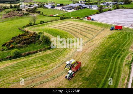 Drinagh, West Cork, Irlande. 5th mai 2022. Les agriculteurs bénéficient du meilleur temps ces derniers jours et réduisent le premier ensilage de l'année. L'entrepreneur Cyril Maguire utilise une moissonneuse Claas 950 pour recueillir l'ensilage pour le producteur laitier Victor Jennings cet après-midi. Crédit : AG News/Alay Live News. Banque D'Images