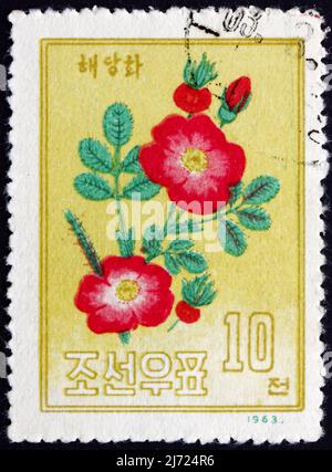 CORÉE DU NORD - VERS 1963 : un timbre imprimé en Corée du Nord montre Campion, Floraison Plant, vers 1963 Banque D'Images