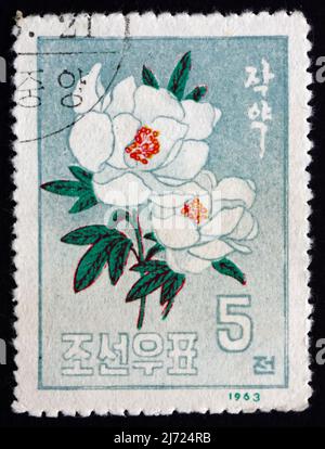 CORÉE DU NORD - VERS 1963 : un timbre imprimé en Corée du Nord montre Peony, Paeonia, Floraison Plant, vers 1963 Banque D'Images