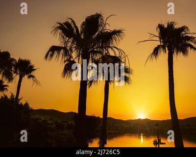 Coucher de soleil sur une île tropicale. Palmiers, mer et soleil, vacances de luxe et concept de voyage Banque D'Images