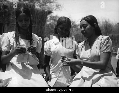 Les filles soudanaises train pour être enseignants. Ils apprennent dans les salles de classe de Grass Hut jusqu'à ce que le New College soit prêt. La classe de couture pour les jeunes filles enseignant stagiaires est tenue à l'extérieur entre les salles de classe de la hutte d'herbe. Main tombe rarement dans la facturation et seulement pendant la saison humide. 14 mai 1953. (Photo du Bureau central d'information). Banque D'Images