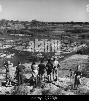 Parc national Kruger habituellement, il n'est pas permis aux visiteurs de laisser leur voiture dans la réserve de gibier et il y a beaucoup d'avis à cet effet. Cependant, à certains endroits, il y a peu de chance d'attaquer des animaux sauvages et ici les gens sont autorisés à marcher vers certains points de vue. Ici, les visiteurs regardent des hippopotames qui se trouvent en partie submergés dans la rivière Crocodile. 25 novembre 1948. (Photo de George Rodger, Magnum). Banque D'Images