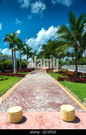 Sentier de Cancun Banque D'Images