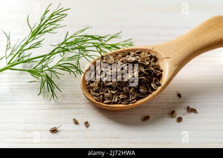 Graines d'aneth entières dans une cuillère en bois et jaill vert frais sur une table en bois blanc. Concept d'épices et de assaisonnements naturels. Anethum graveolens. Banque D'Images