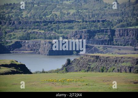 Formations géologiques spectaculaires dans la gorge du fleuve Columbia, vues depuis la réserve Tom McCall, Oregon, États-Unis. Banque D'Images