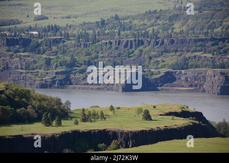 Formations géologiques spectaculaires dans la gorge du fleuve Columbia, vues depuis la réserve Tom McCall, Oregon, États-Unis. Banque D'Images