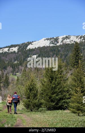 Jeune couple tenant les mains et marchant le long du chemin vers les bois sauvages et les rochers blancs au loin, vue arrière Banque D'Images