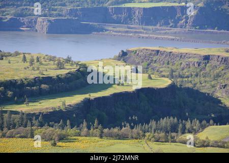 Formations géologiques spectaculaires dans la gorge du fleuve Columbia, vues depuis la réserve Tom McCall, Oregon, États-Unis. Banque D'Images