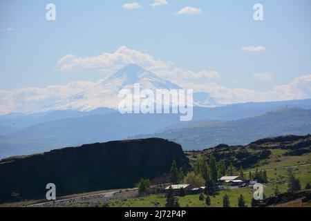 Vue sur le Mont Hood en Oregon depuis le Butte de Horsehief, dans le parc national historique de Columbia Hills, gorge de Columbia, État de Washington, États-Unis. Banque D'Images