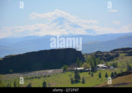 Vue sur le Mont Hood en Oregon depuis le Butte de Horsehief, dans le parc national historique de Columbia Hills, gorge de Columbia, État de Washington, États-Unis. Banque D'Images