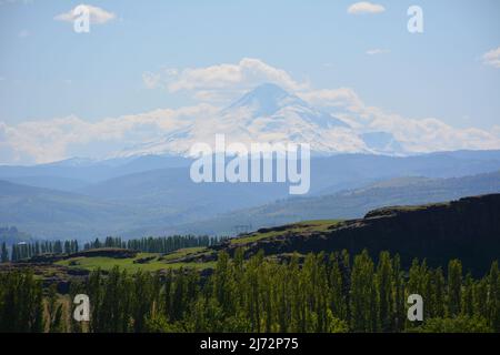 Vue sur le Mont Hood en Oregon depuis le Butte de Horsehief, dans le parc national historique de Columbia Hills, gorge de Columbia, État de Washington, États-Unis. Banque D'Images