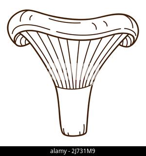 Champignons forestiers, champignons chanterelle. Un symbole de la forêt, de l'automne et de la récolte. Elément de conception avec contour. Doodle, dessiné à la main. Conception plate. BLAC Illustration de Vecteur