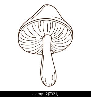 Champignons de forêt avec un chapeau, bouleau noir. Un symbole de la forêt, de l'automne et de la récolte. Elément de conception avec contour. Doodle, dessiné à la main. Conception plate. BL Illustration de Vecteur